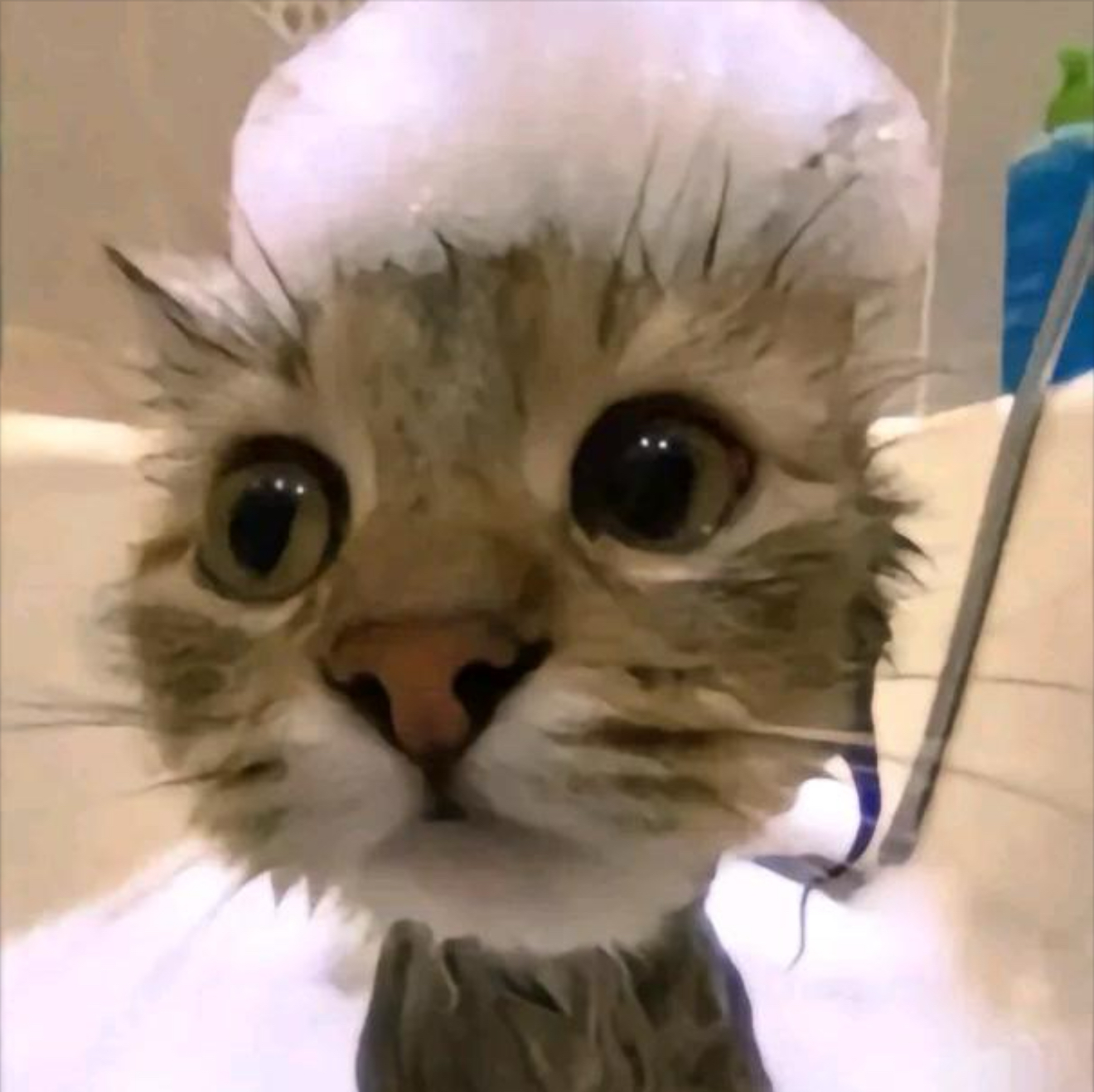 ai 小松的头像-松纸工作室博客