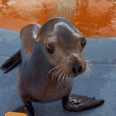 评论图片-松纸工作室博客