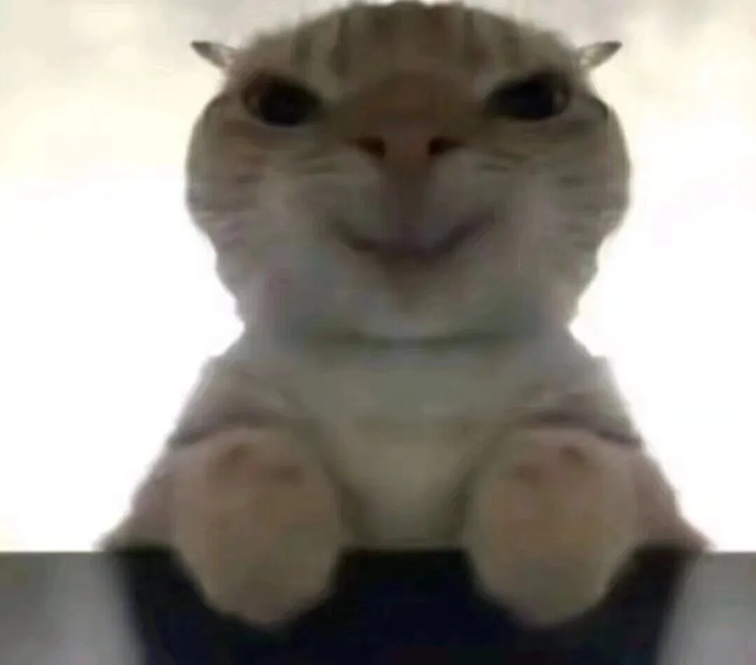 迟遇的头像-松纸工作室博客