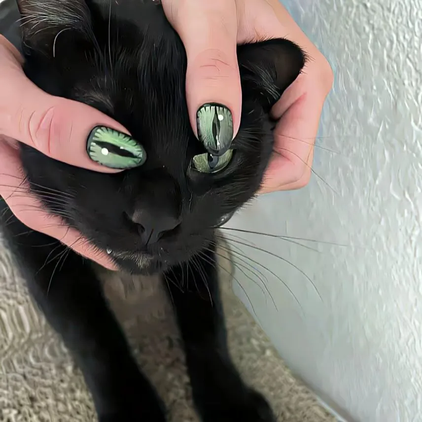 归寻满的头像-松纸工作室博客