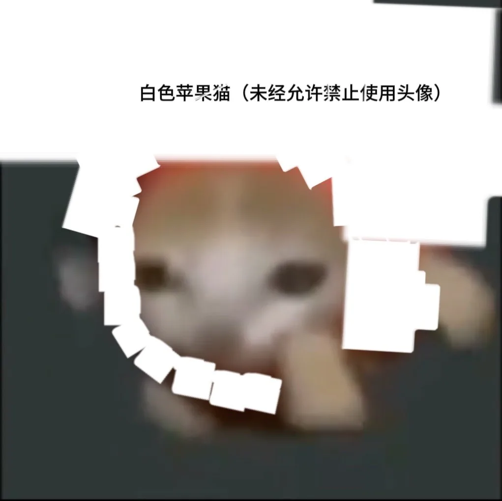 XingChen✨的头像-松纸工作室博客