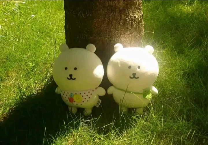 心萌化了的头像-松纸工作室博客